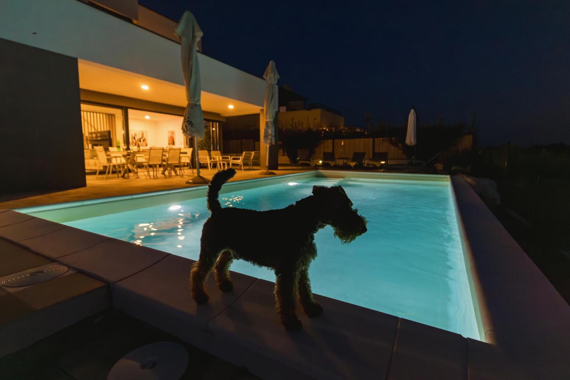 Villa Boiky - Private Pool And Amazing Sea View, Istria Materada Екстериор снимка